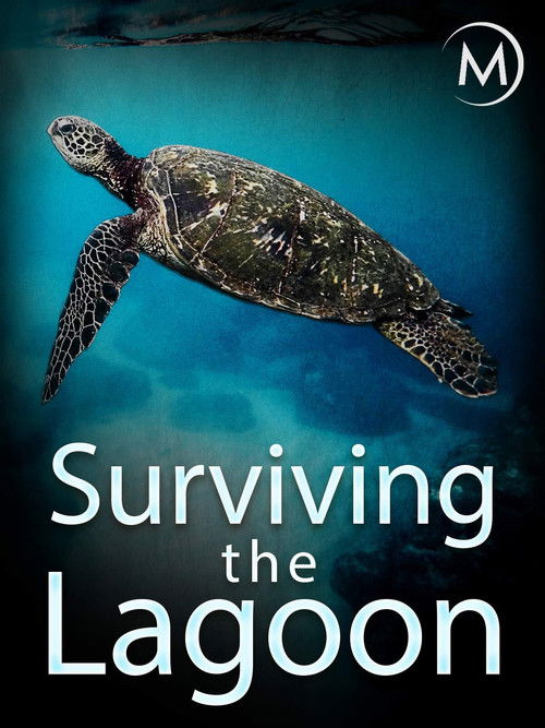 Surviving the Lagoon
