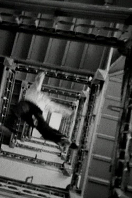 Seven Days 'Til Sunday