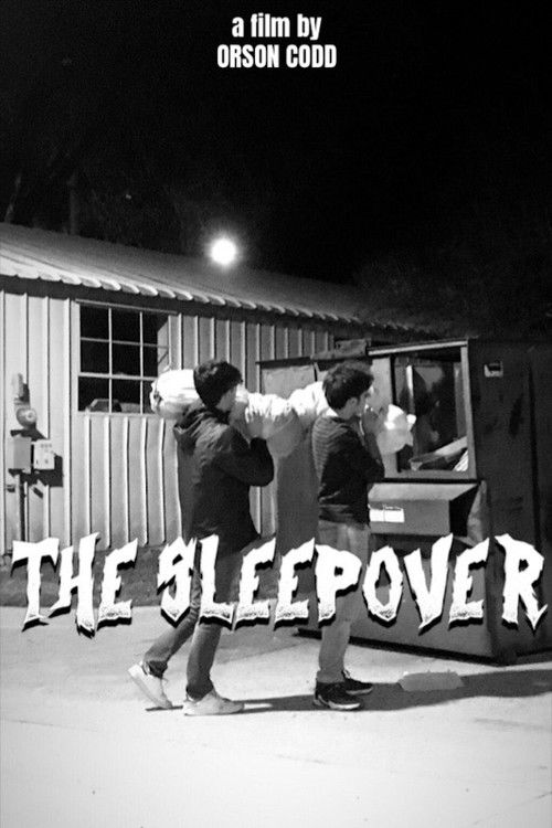 The Sleepover