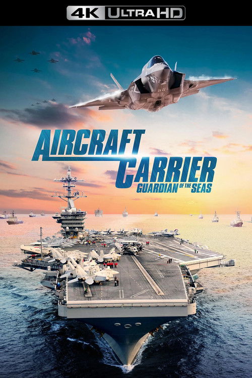 Aircraft Carrier: Guardian of the Seas