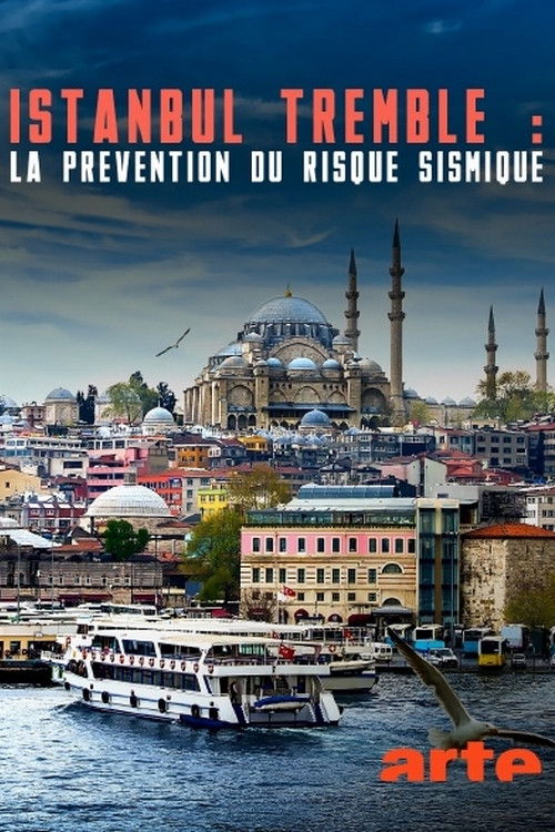 Istanbul tremble : La prévention du risque sismique