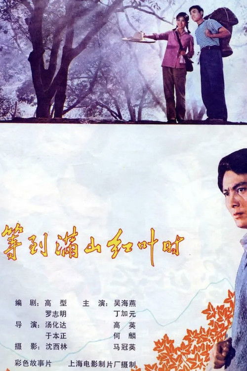 The Nightmare Ends in the Morning