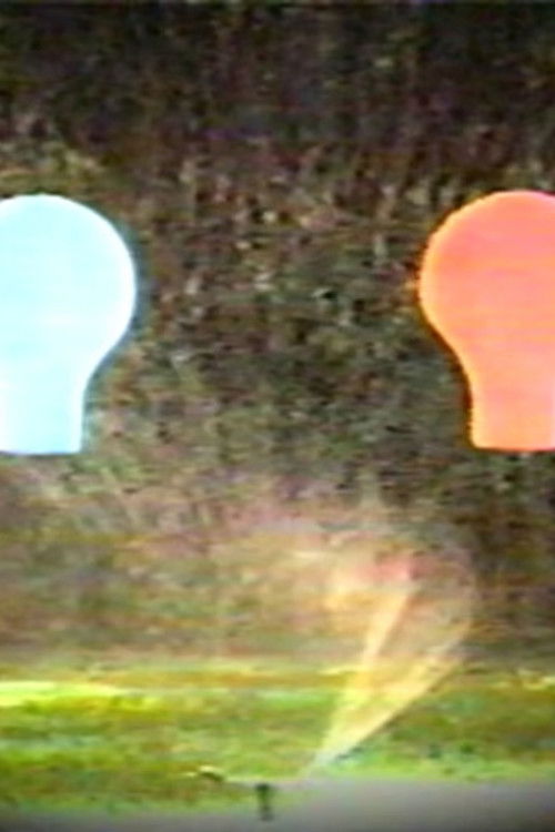 Water, Lightbulbs, Dying Bugs and Doorbells