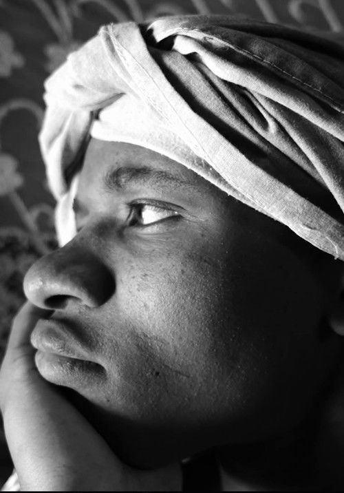 The Problem With Dogs