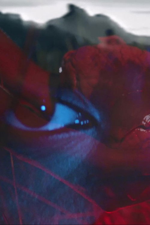 Between the Colony and the Stars