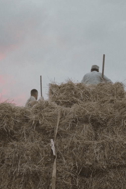 A Crypto Rush Aftermath