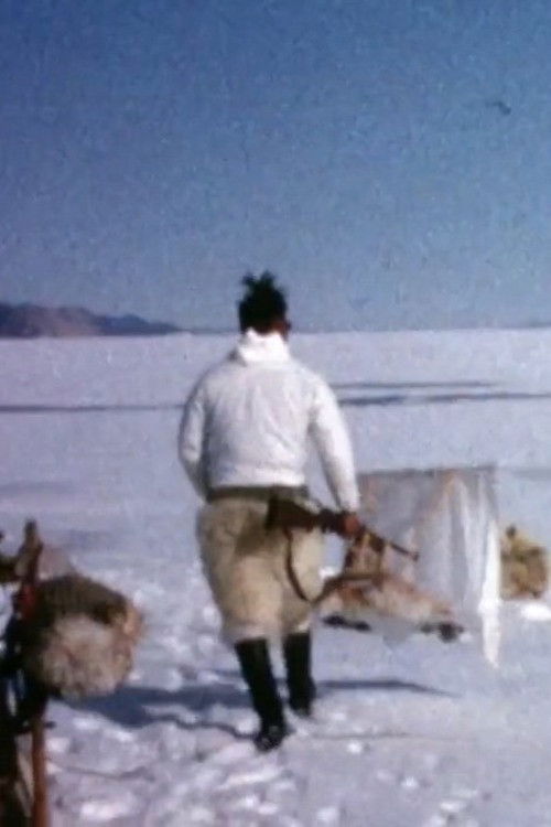 The Ice We Walk Through