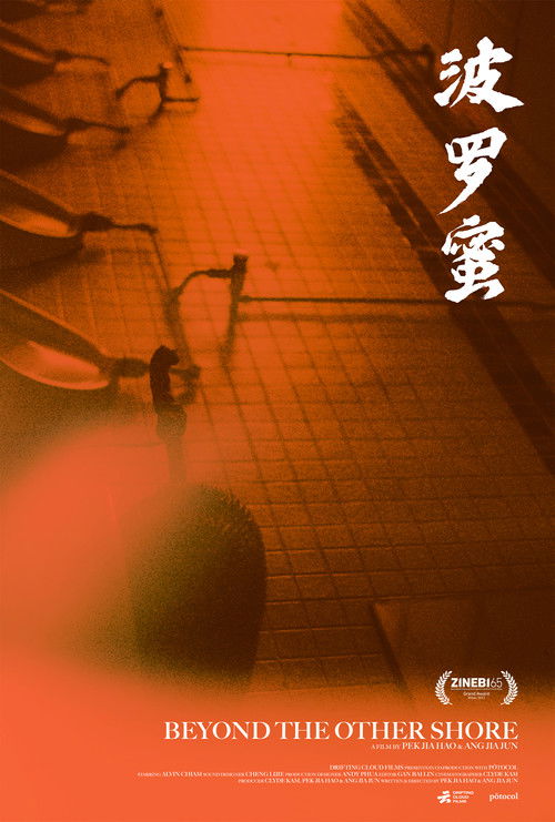 Beyond the Other Shore