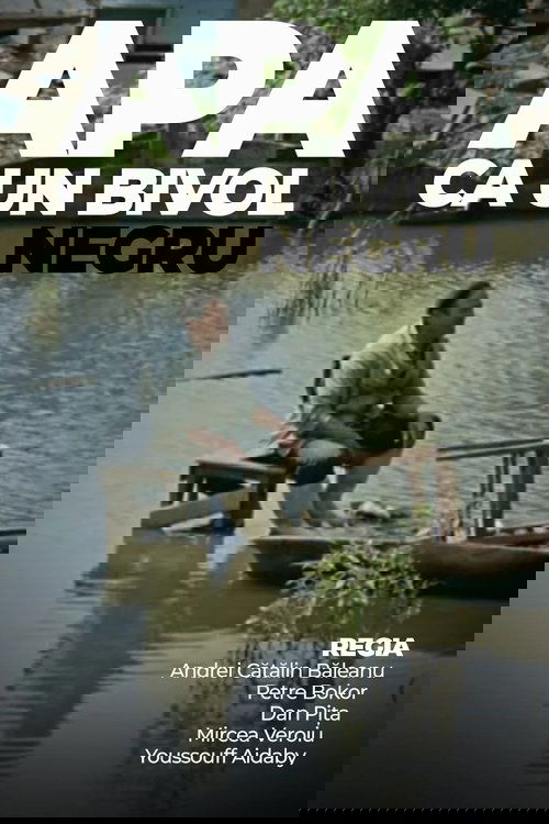 Water Like a Black Buffalo