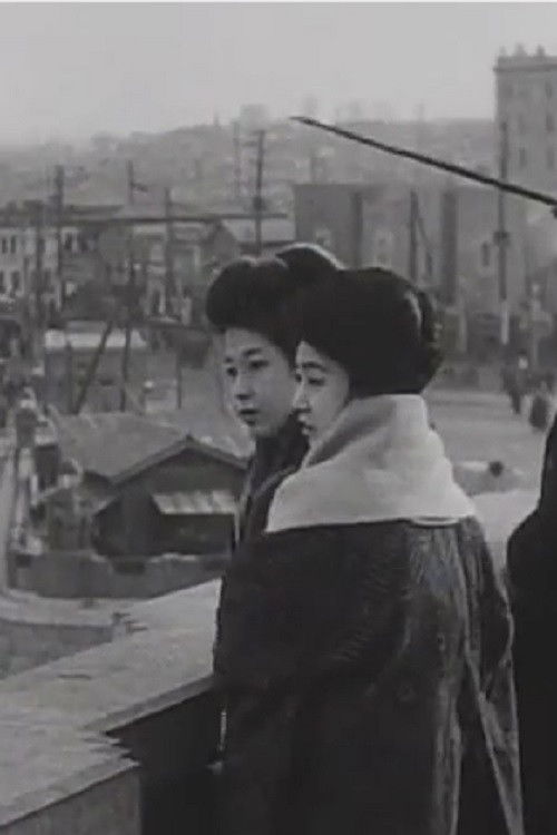 Public Manners: Sightseeing in Tokyo