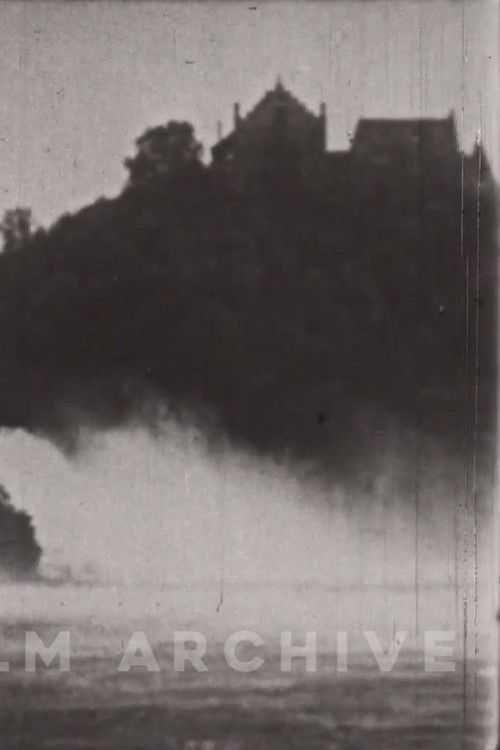 The Little Swiss Woodcarver