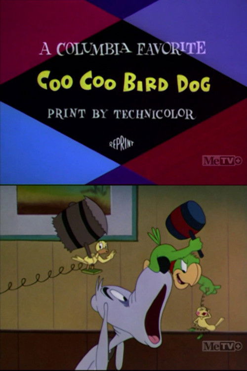 Coo-Coo Bird Dog