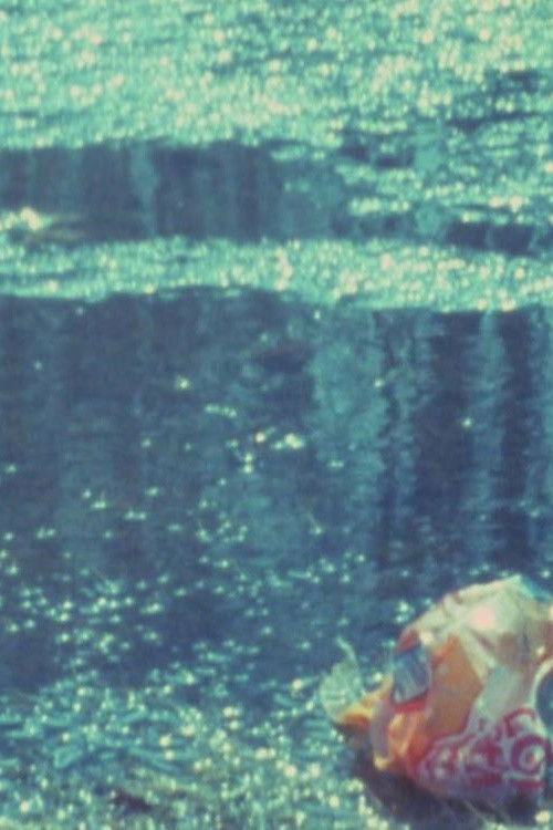 Visions in Meditation #3: Plato's Cave