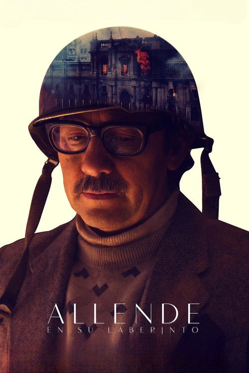 Allende in His Maze