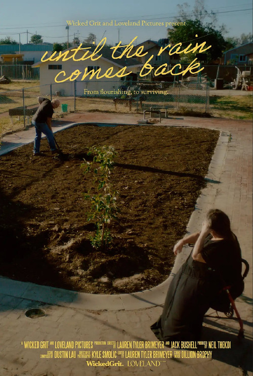 Until the Rain Comes Back