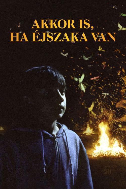 Even Though It's Night