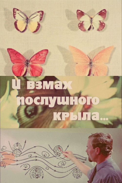 With a Flap of a Wing