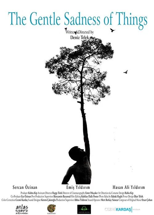 The Gentle Sadness of Things