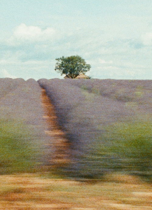 La Mounine ou note après coup sur un ciel de Provence