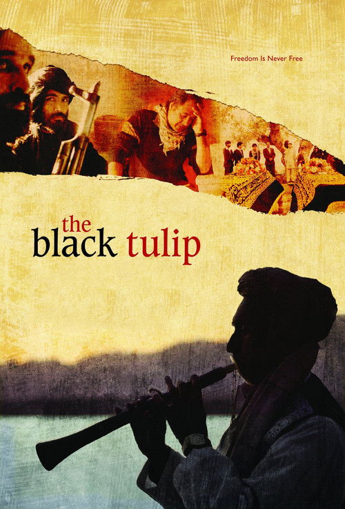 The Black Tulip