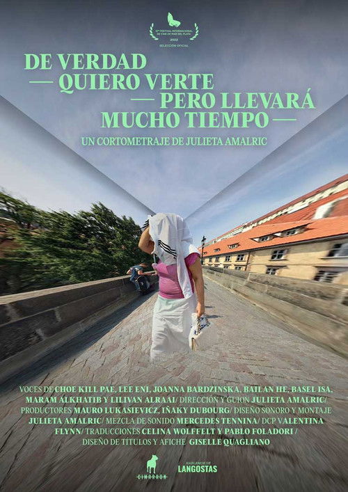 I Really Want to See You But It Will Take Too Long