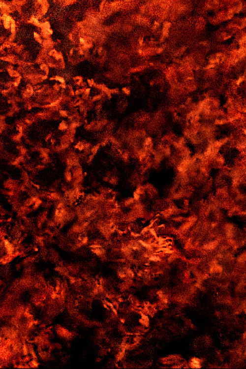 The Temple of Conflagrated Shadows