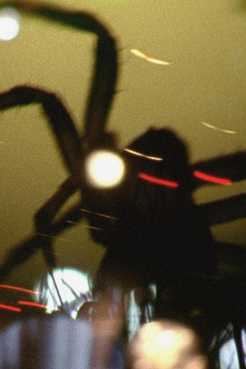 The Liquid Casket / Wilderness of Mirrors