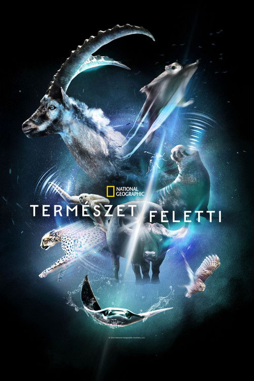 Természet/feletti