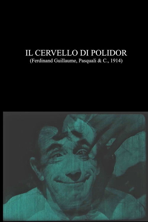 Il cervello di Polidor