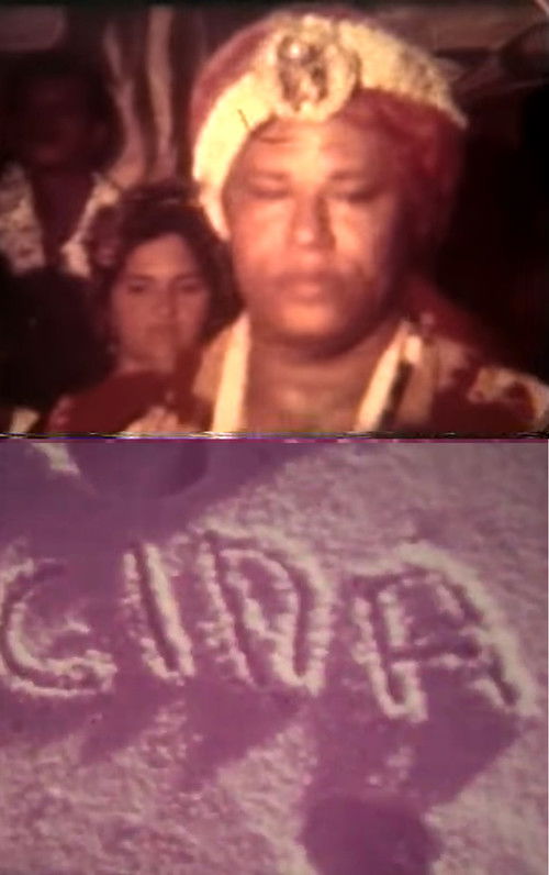 Babalorixá Mário Miranda, Maria Aparecida no Carnaval