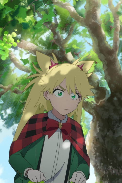 Don't Judge a Book by Its Cover