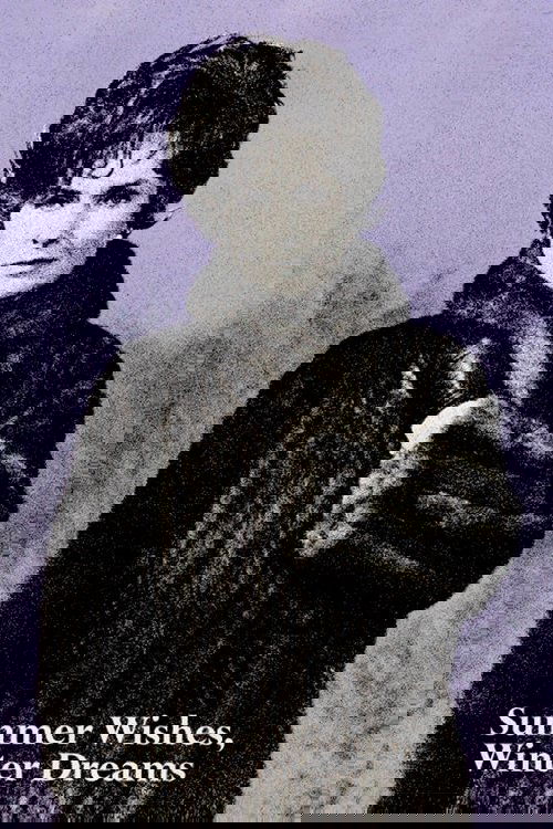 Summer Wishes, Winter Dreams