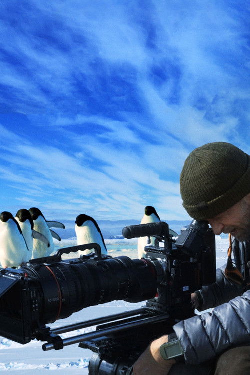 Penguins: Life on the Edge