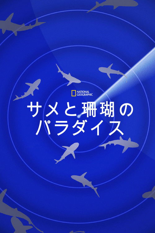 Journey to Shark Eden