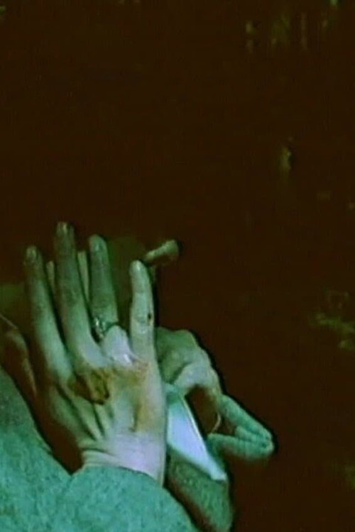 Images of Liberation