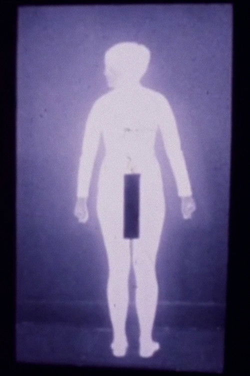 What Am I Doing Here