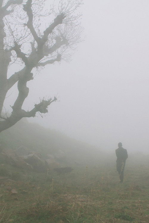 The House is on Fire, Might as Well Get Warm