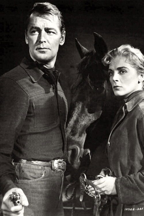 Aranyásók a Vörös-hegyen