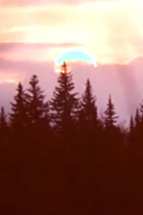 Spring film observations