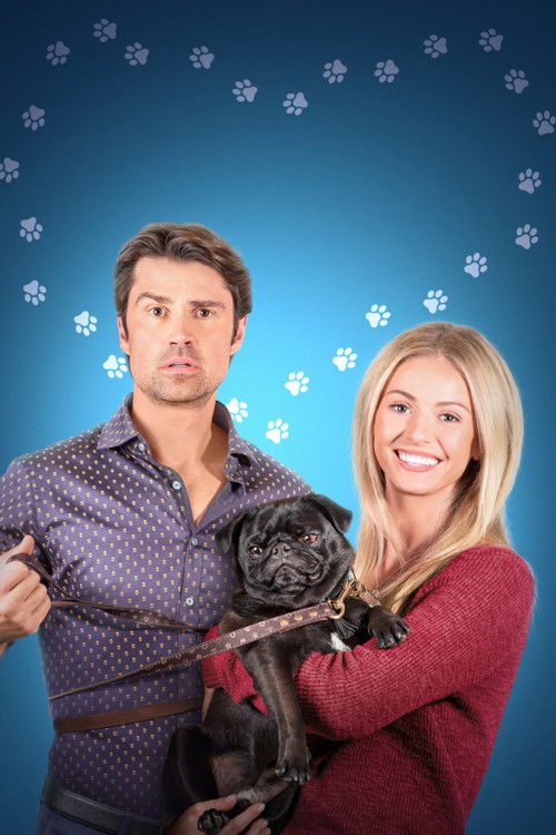 Randi kalauz kutyásoknak