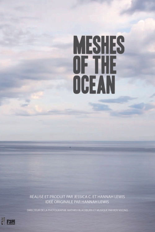 Meshes of the Ocean