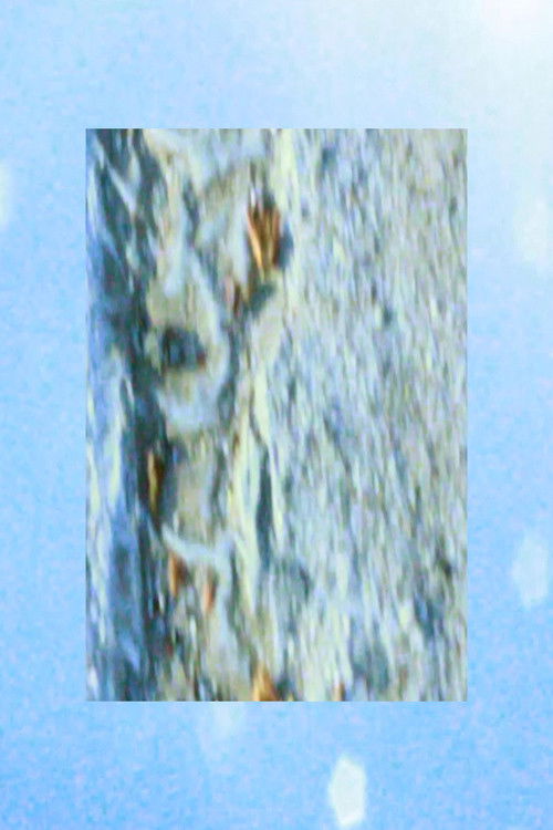 “I just wanted to stare at the clouds but they wouldn’t let me”