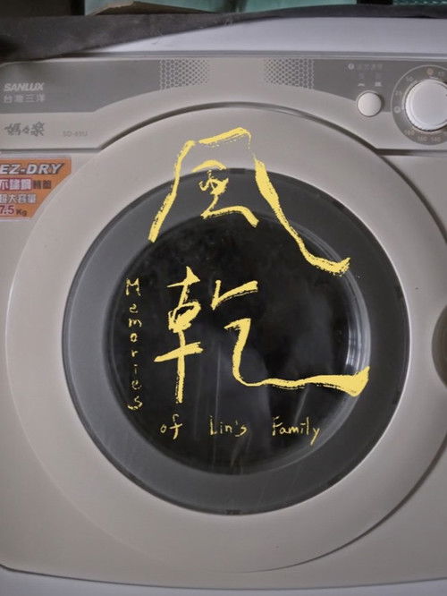 Ｍemories of Lin's Family