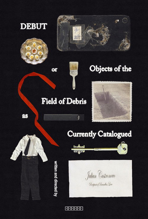 Debut, or, Objects of the Field of Debris as Currently Catalogued
