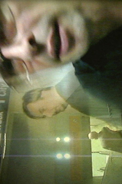 Wie ich ein freier Reisebegleiter wurde