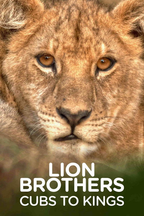 Oroszlánkölykök: Királlyá válni