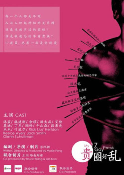 My 17 Gay Friends