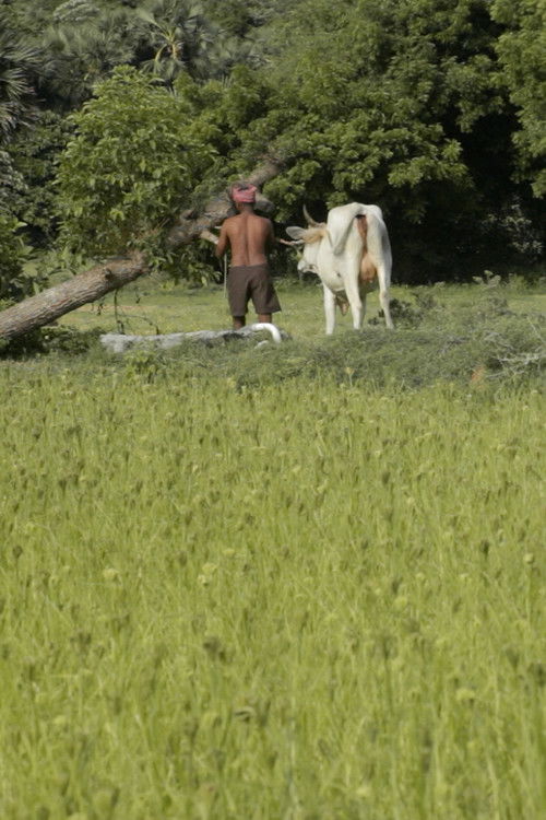 Where I Can’t Be Found