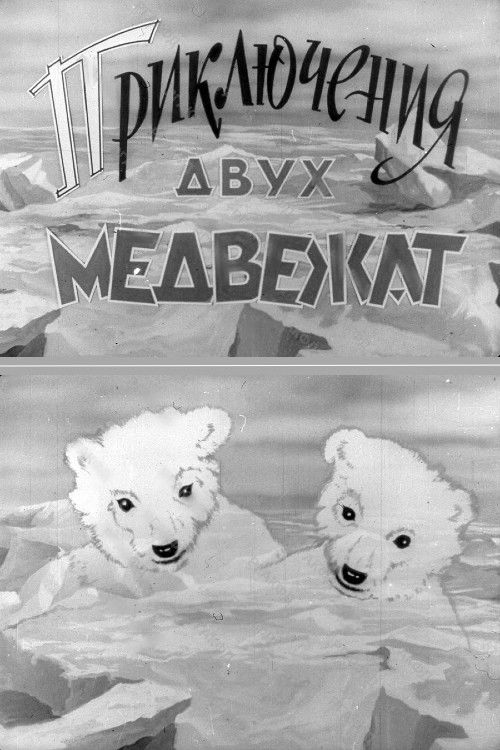 Adventures of Two Bear Cubs