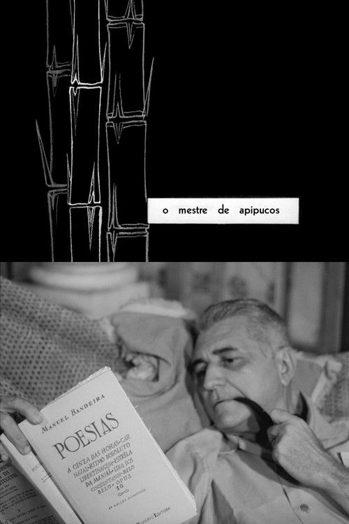 The Master of Apipucos